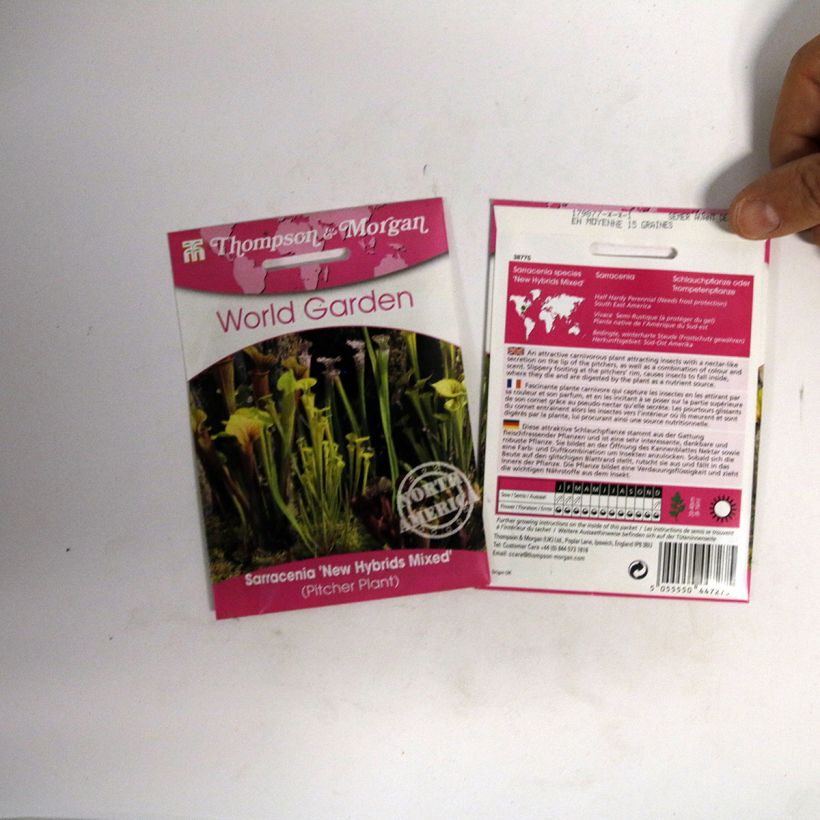 Ejemplo de ejemplar de Graines de Sarracenia New Hybrids en mélange - Attrape-Mouches de Vénus  Graines tal y como se entrega