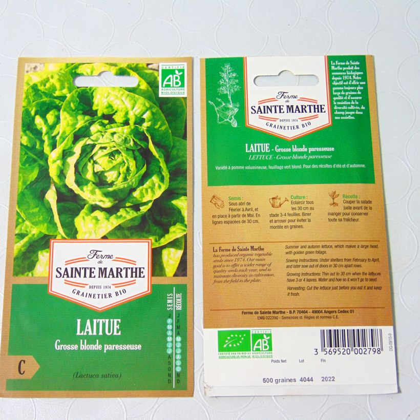 Ejemplo de ejemplar de Lechuga Grosse Blonde Paresseuse Bio - Ferme de Sainte Marthe tal y como se entrega