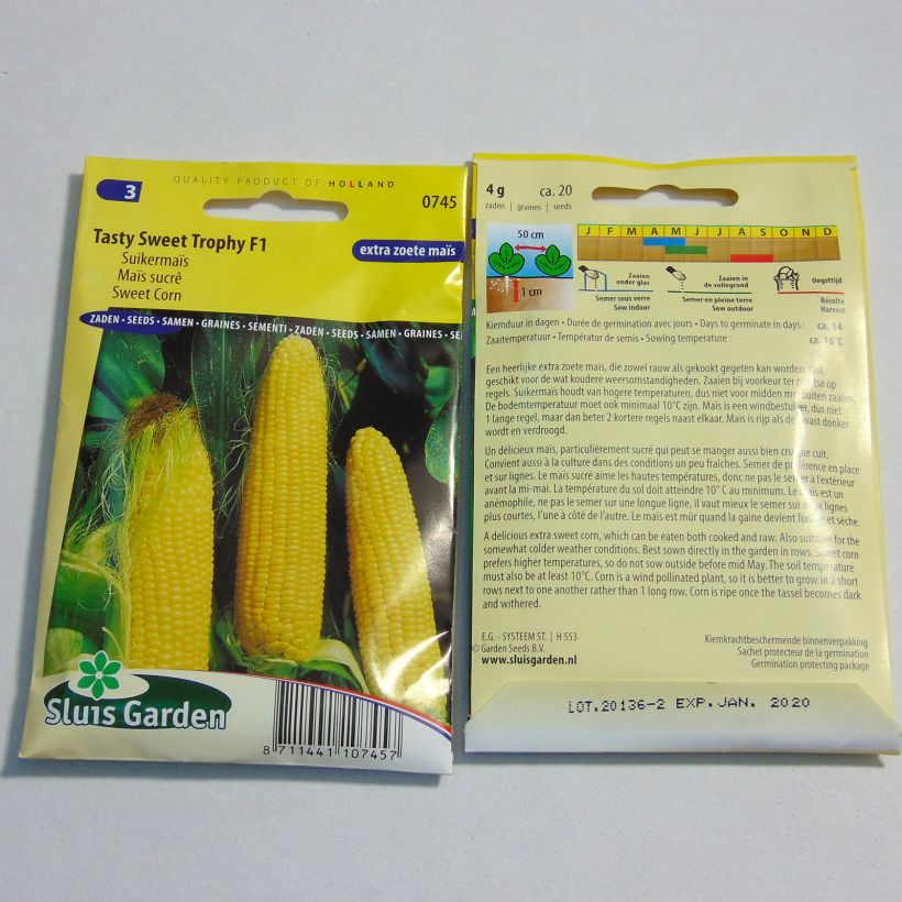 Ejemplo de ejemplar de Maïs sucré Tasty Sweet Trophy F1 - Zea Mays Graines tal y como se entrega