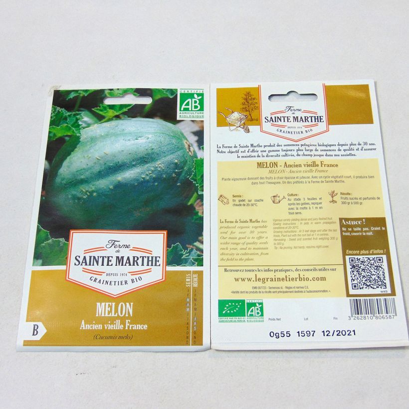 Ejemplo de ejemplar de Melon Ancien Vieille France Bio - Ferme de Sainte Marthe Graines tal y como se entrega