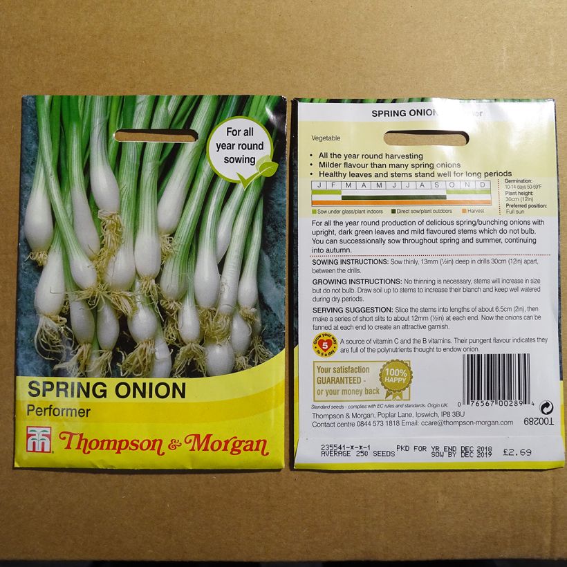 Ejemplo de ejemplar de Oignon de printemps ciboule Performer - Allium fistulosum Graines tal y como se entrega