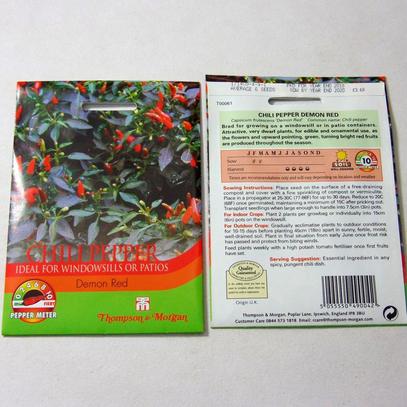 Ejemplo de ejemplar de Piment Demon Red - Capsicum annuum Graines tal y como se entrega