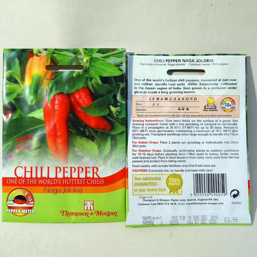 Ejemplo de ejemplar de Piment Naga Jolokia - Capsicum annuum Graines tal y como se entrega