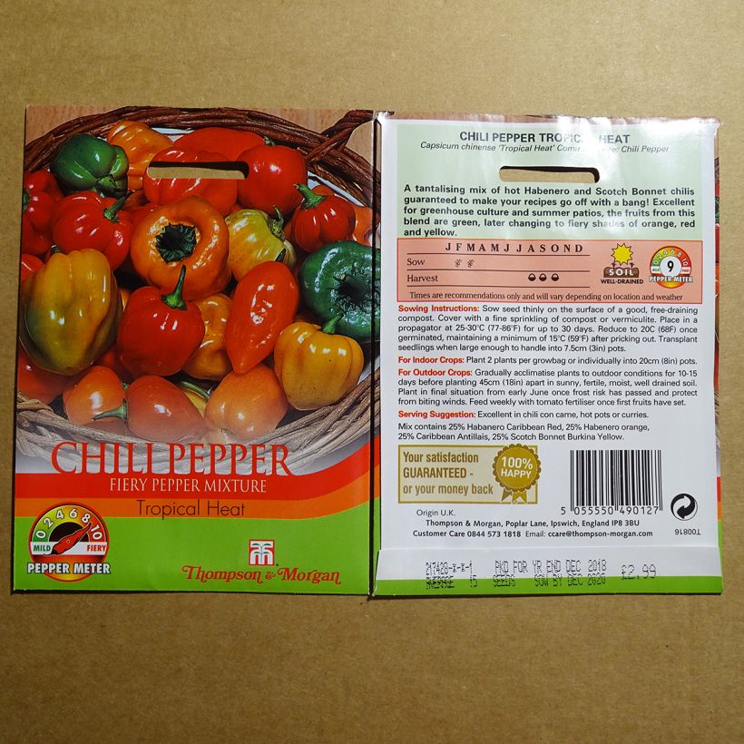 Ejemplo de ejemplar de Piment Tropical Heat - Capsicum annuum Graines tal y como se entrega