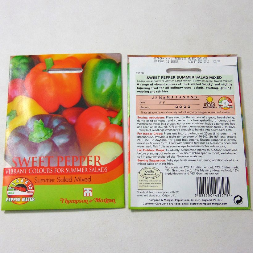 Ejemplo de ejemplar de Poivron Summer Salad Mixed - Capsicum annuum Graines tal y como se entrega