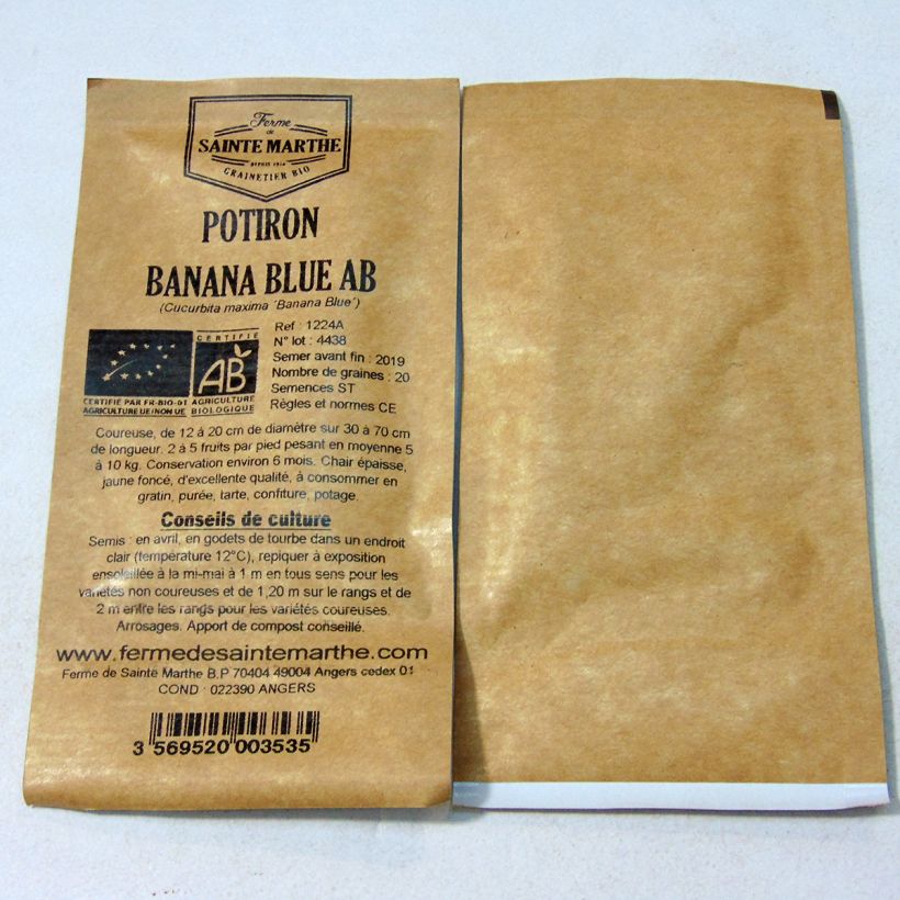 Ejemplo de ejemplar de Potiron Banana Blue Bio - Ferme de Sainte Marthe Graines tal y como se entrega