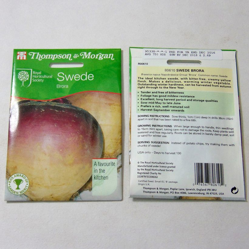 Ejemplo de ejemplar de Rutabaga Brora Graines tal y como se entrega