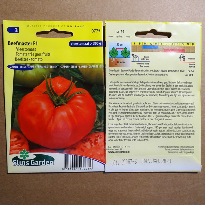 Ejemplo de ejemplar de Tomate Beefmaster F1 - Très gros fruits  Graines tal y como se entrega