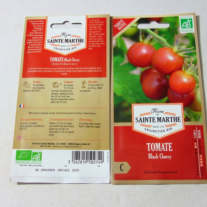 Ejemplo de ejemplar de Tomate Black Cherry Bio - Tomate cerise Noire - Ferme de Sainte Marthe tal y como se entrega