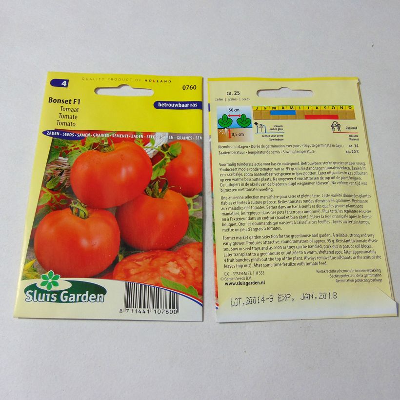 Ejemplo de ejemplar de Tomate Bonset F1 Graines tal y como se entrega