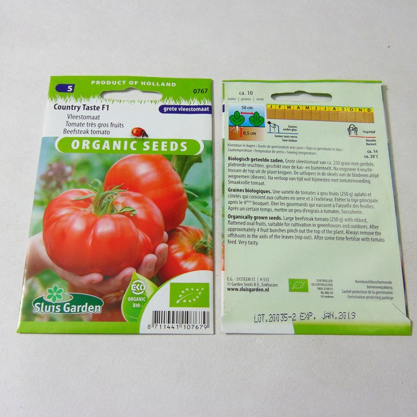 Ejemplo de ejemplar de Tomate Country Taste F1 Bio Graines tal y como se entrega