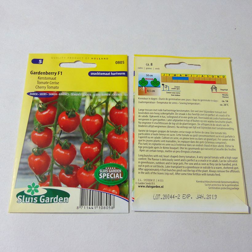 Ejemplo de ejemplar de Tomate Gardenberry F1 - Tomate-cerise Graines tal y como se entrega