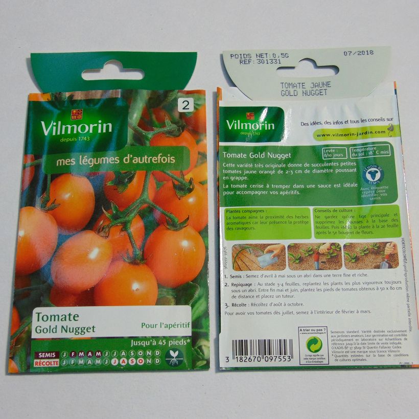 Ejemplo de ejemplar de Tomate Gold Nugget - Vilmorin Graines tal y como se entrega