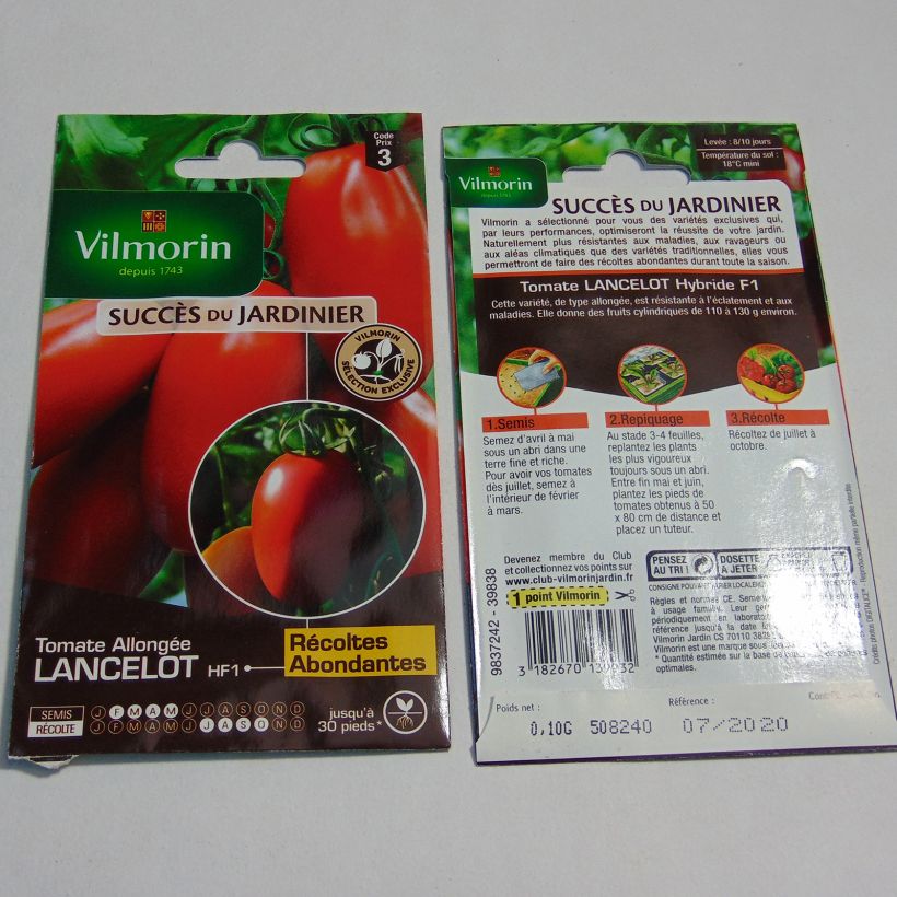 Ejemplo de ejemplar de Tomate Lancelot tal y como se entrega