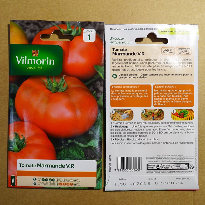 Ejemplo de ejemplar de Tomate Marmande - Vilmorin Graines tal y como se entrega