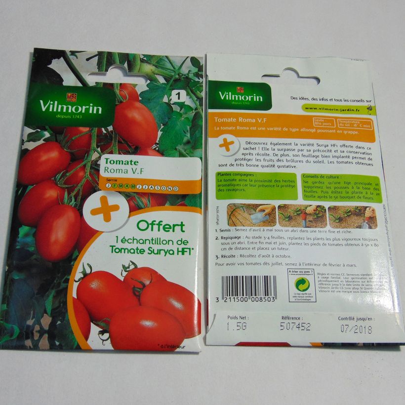 Ejemplo de ejemplar de Tomate Roma V.F  + échantillon Tomate Surya - Vilmorin Graines tal y como se entrega