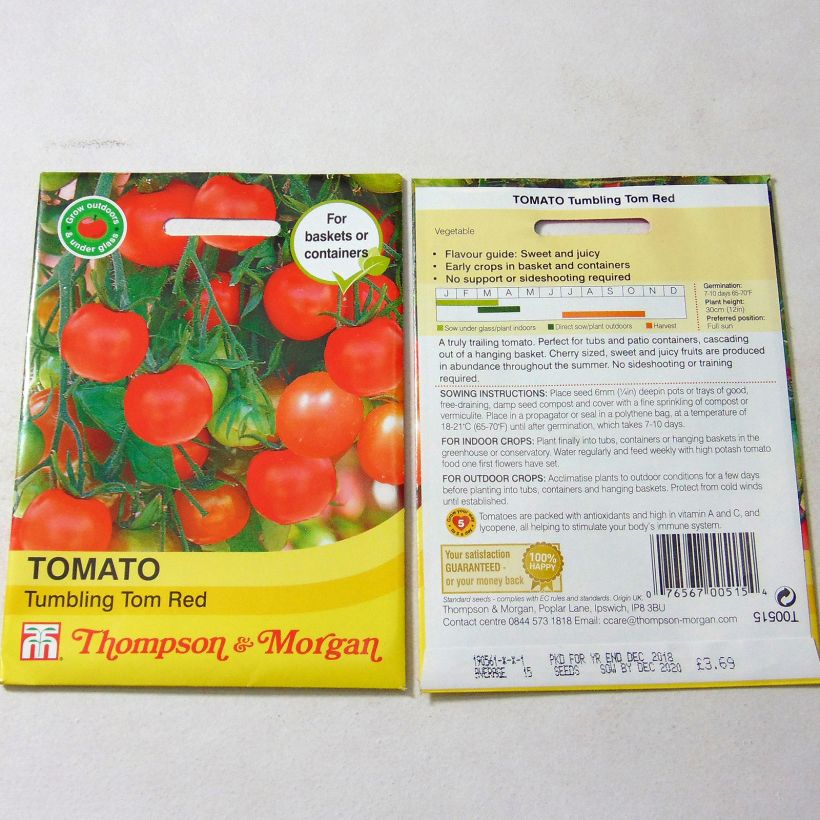 Ejemplo de ejemplar de Tomate Tumbling Tom Red - Tomate-cerise Graines tal y como se entrega