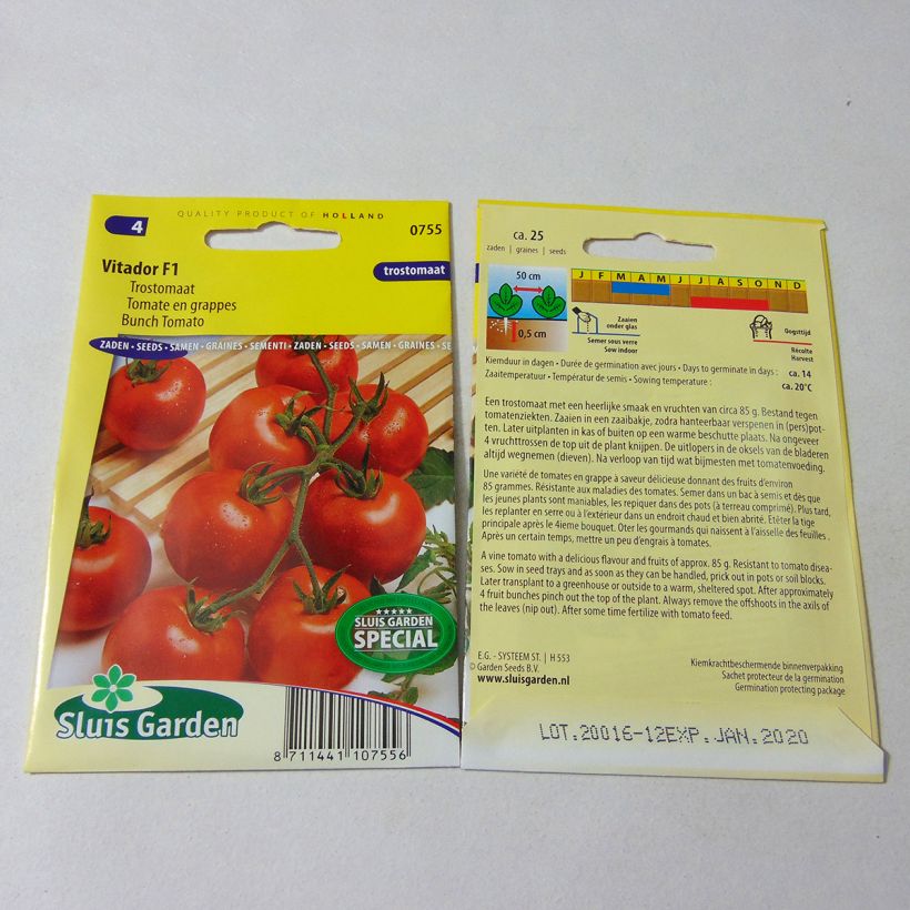 Ejemplo de ejemplar de Tomate Vitador F1 - Tomate grappe Graines tal y como se entrega