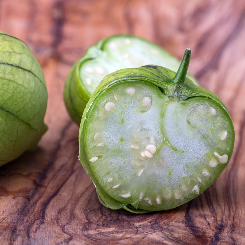 Tomate verde Bio - Ferme de Sainte Marthe (Cosecha)